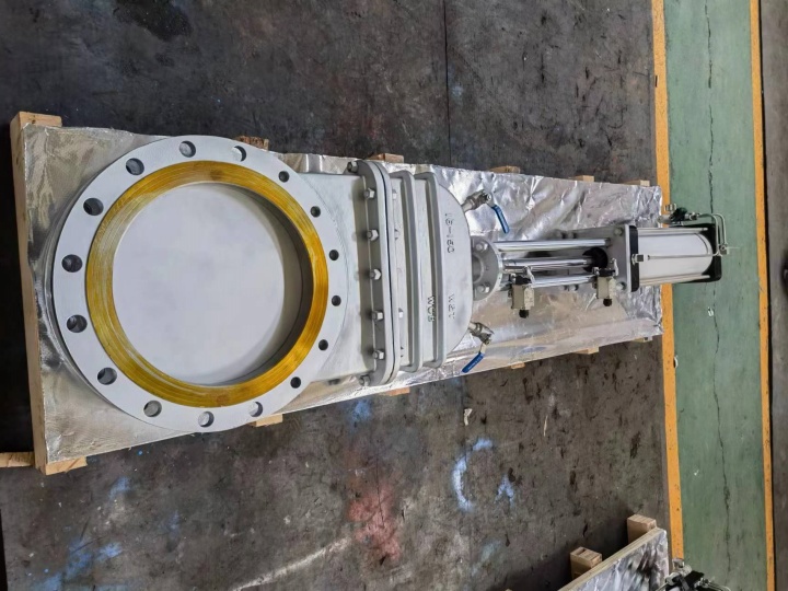 微信图片_20260127090802_10_1356.jpg 微信图片_20260127090802_10_1356.jpg